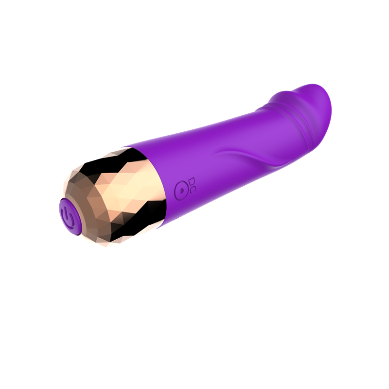 Realistic Dildo Bullet Vibrator